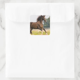 Create Your Own Pet Horse Photo Custom Picture Square Sticker
