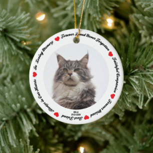 Create Your Own Pet Maine Coon Cat Memorial  Ceramic Tree Decoration
