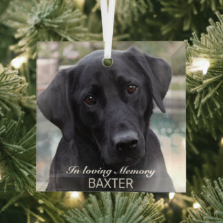 Create Your Own Pet Memorial Photo Glass Tree Decoration