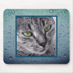 Create your own pet mousepad