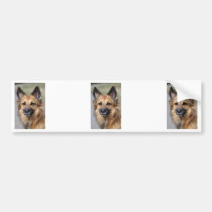Create your own pet photo bumper sticker