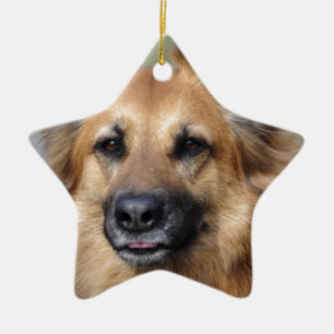 Create your own pet photo ceramic tree decoration