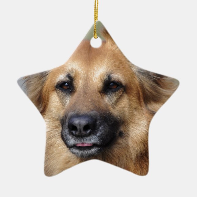 Create your own pet photo ceramic tree decoration (Front)