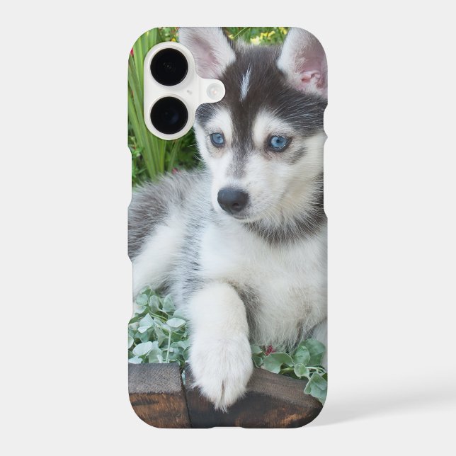Create Your Own Pet Photo Custom Picture (Back)