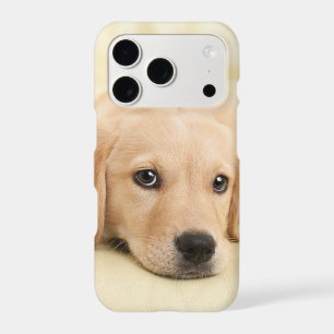 Create Your Own Pet Photo Custom Picture