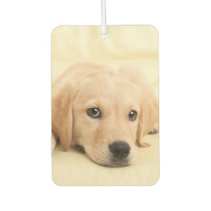 Create Your Own Pet Photo Custom Picture Car Air Freshener