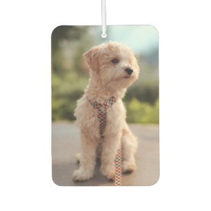 Create Your Own Pet Photo Custom Picture Car Air Freshener