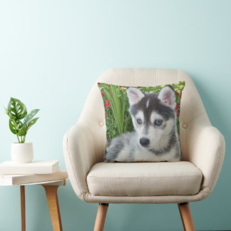 Create Your Own Pet Photo Custom Picture Cushion