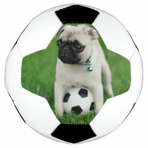 Create Your Own Pet Photo Custom Picture Football