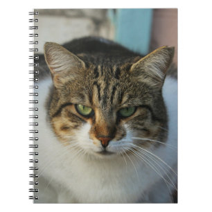 Create Your Own Pet Photo Custom Picture Gift Notebook
