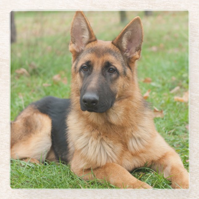Create Your Own Pet Photo Custom Picture Glass Coaster (Front)