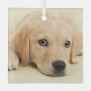Create Your Own Pet Photo Custom Picture Glass Tree Decoration
