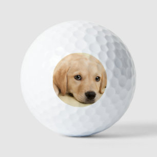 Create Your Own Pet Photo Custom Picture Golf Balls