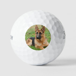 Create Your Own Pet Photo Custom Picture Golf Balls