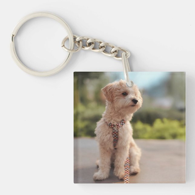 Create Your Own Pet Photo Custom Picture Key Ring (Front)