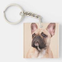 Create Your Own Pet Photo Custom Picture