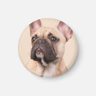 Create Your Own Pet Photo Custom Picture Magnet