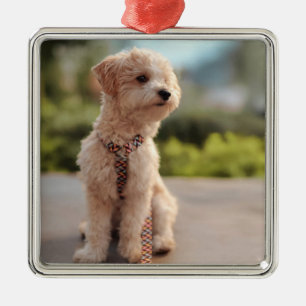 Create Your Own Pet Photo Custom Picture Metal Tree Decoration
