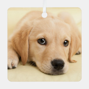 Create Your Own Pet Photo Custom Picture Metal Tree Decoration