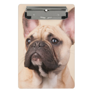 Create Your Own Pet Photo Custom Picture Mini Clipboard
