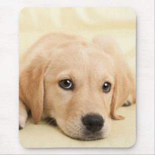 Create Your Own Pet Photo Custom Picture Mouse Mat
