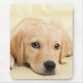Create Your Own Pet Photo Custom Picture Mouse Mat