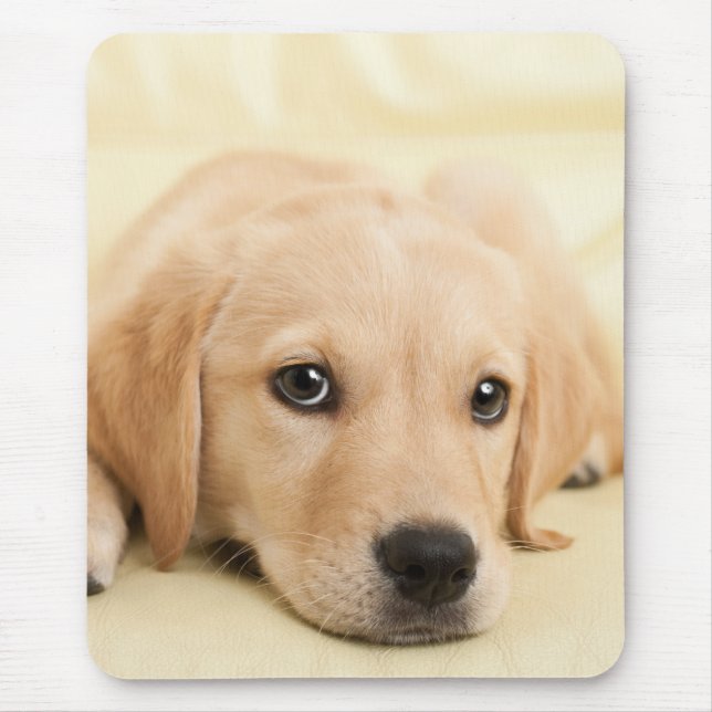 Create Your Own Pet Photo Custom Picture Mouse Mat (Front)