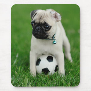 Create Your Own Pet Photo Custom Picture Mouse Mat