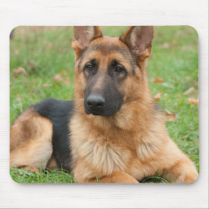 Create Your Own Pet Photo Custom Picture Mouse Mat