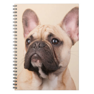 Create Your Own Pet Photo Custom Picture Notebook