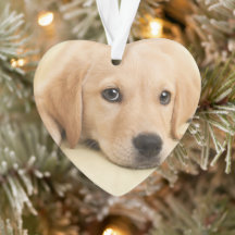 Create Your Own Pet Photo Custom Picture