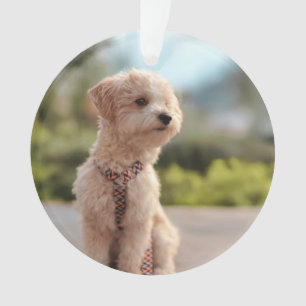 Create Your Own Pet Photo Custom Picture Ornament