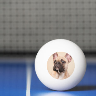 Create Your Own Pet Photo Custom Picture Ping Pong Ball