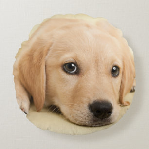Create Your Own Pet Photo Custom Picture Round Cushion