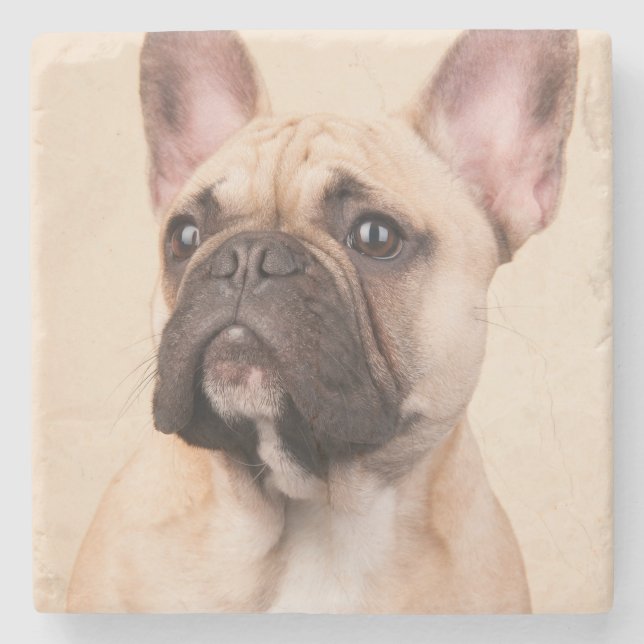 Create Your Own Pet Photo Custom Picture Stone Coaster (Front)