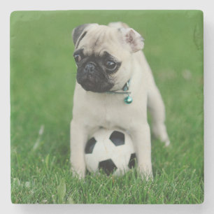 Create Your Own Pet Photo Custom Picture Stone Coaster