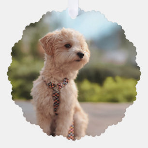 Create Your Own Pet Photo Custom Picture Tree Decoration Card