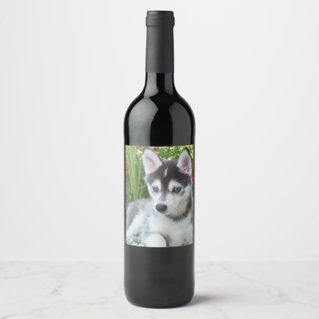 Create Your Own Pet Photo Custom Picture Wine Label (Front)