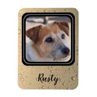 Create your own pet photo magnet
