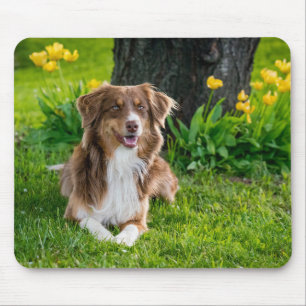 Create Your Own Pet Photo Mouse Mat