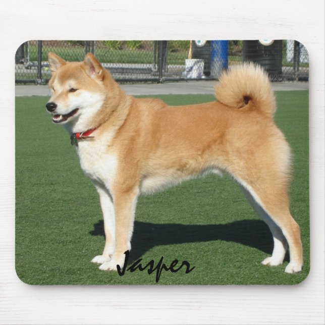 CREATE YOUR OWN PET PHOTO MOUSE MAT (Front)
