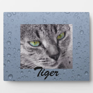 Create your own pet photo plaque