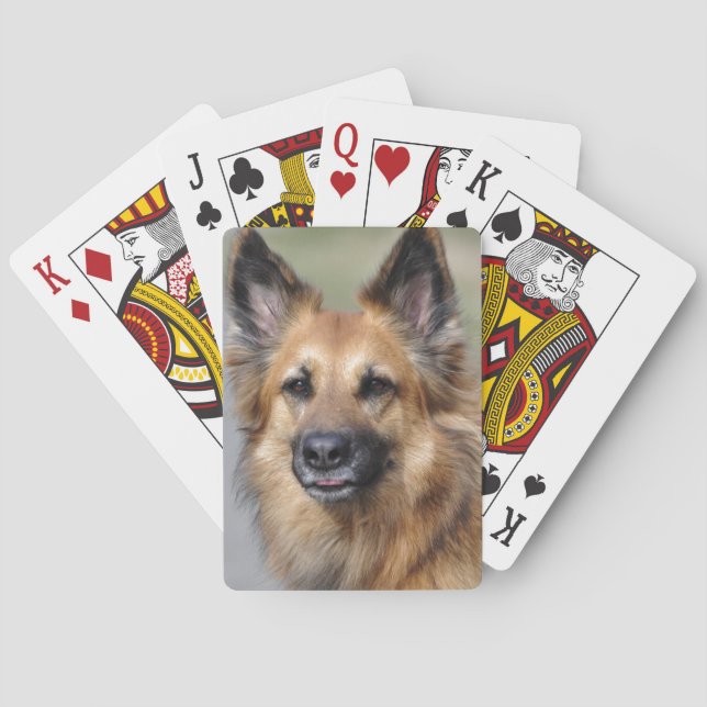 Create your own pet photo playing cards (Back)