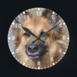 Create your own pet photo round clock<br><div class="desc">Create your own pet photo. Customise and personalise as desired.</div>