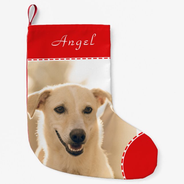 Create Your Own  Pet Photo with Name l Red Trim Small Christmas Stocking (Front)