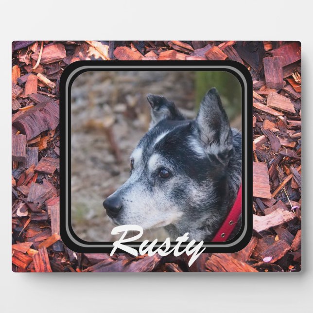 Create your own pet plaque (Front)