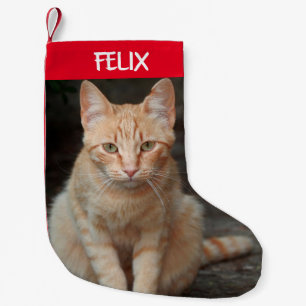 Create Your Own Pet Tabby Cat Photo  Small Christmas Stocking