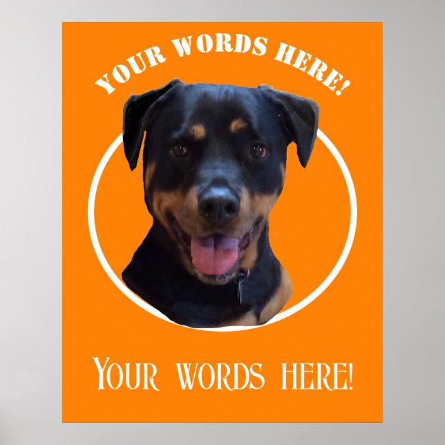 Create Your Own Photo  and Text  Poster (Front)