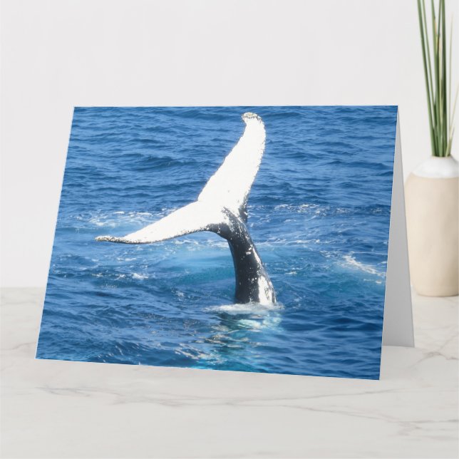 Create Your Own Photo Card (Front)