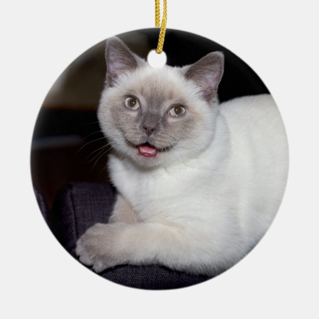 Create-Your-Own-Photo | Ceramic Tree Decoration (Front)